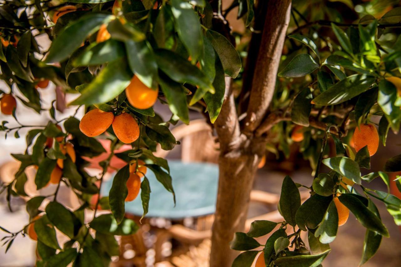 مبيت وإفطار صور Dar Camelia المظهر الخارجي الصورة