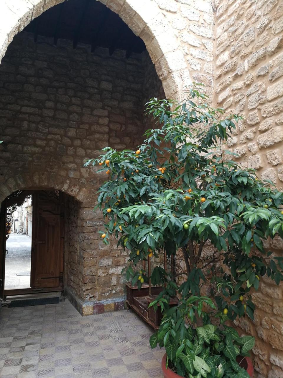 مبيت وإفطار صور Dar Camelia المظهر الخارجي الصورة